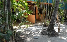 La Palapa
